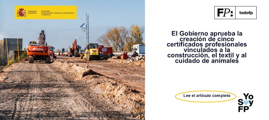 El Gobierno aprueba la creación de cinco certificados profesionales vinculados a la construcción, el textil y al cuidado de animales
