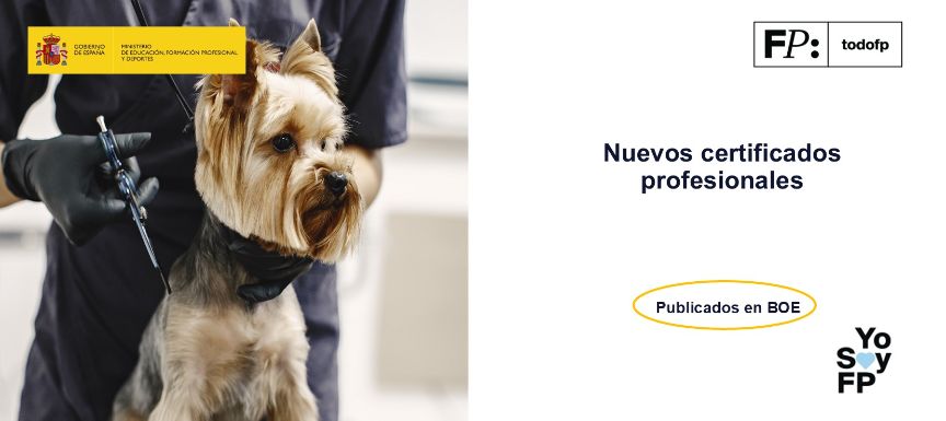 Nuevos certificados profesionales