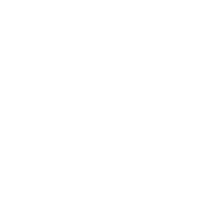 Curso de especialización