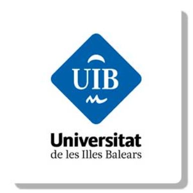 Universitat de les Illes Balears