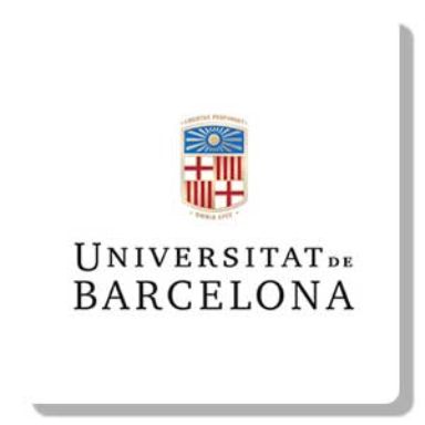 Universitat de Barcelona