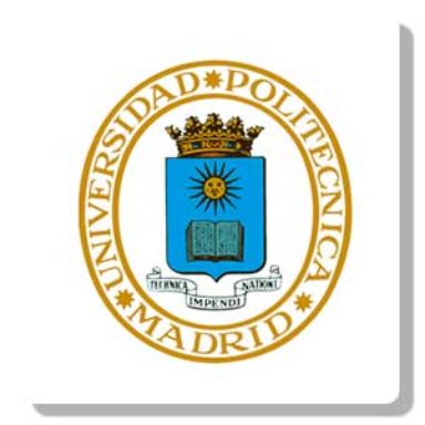 Universidad Politécnica de Madrid