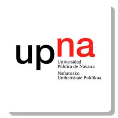 Universidad Pública de Navarra