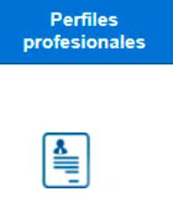 Perfiles profesionales