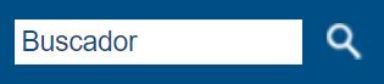 Buscador de la web Todo FP