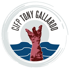 CIFP Tony Gallardo (Las Palmas de Gran Canaria)